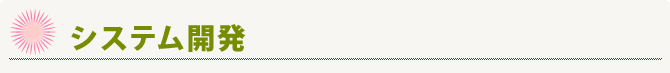 システム開発